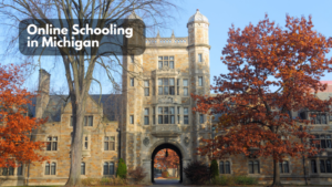 Online Schooling in Michigan